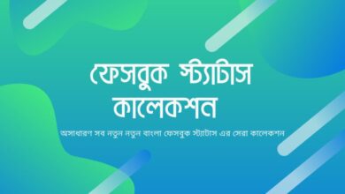 Bangla Facebook Status ফেসবুক স্ট্যাটাস, বাংলা ফেসবুক স্ট্যাটাস, স্মার্ট ফেসবুক স্ট্যাটাস