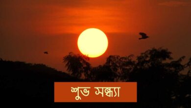 Good evening শুভ সন্ধ্যা