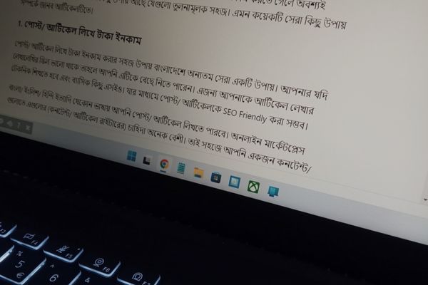 Article Writing আর্টিকেল লেখার ছবি