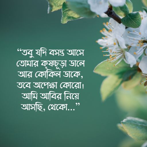 Bosonter status pic 1 বসন্তের স্ট্যাটাস ছবি ১