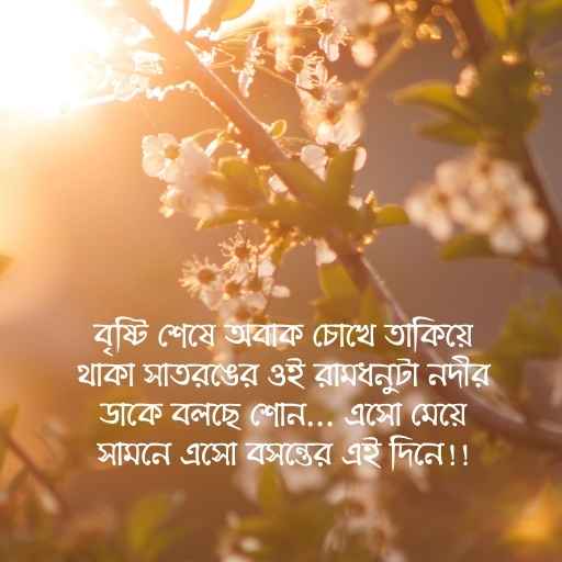 Bosonter status pic 2 বসন্তের স্ট্যাটাস ছবি ২