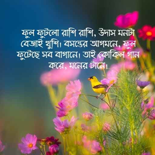 Bosonter status pic 3 বসন্তের স্ট্যাটাস ছবি ৩