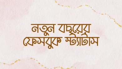 New Year Facebook Status New Year Facebook Status